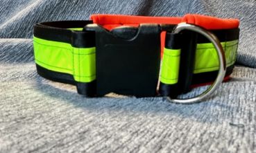Halsband Reflex