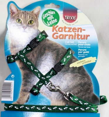 Geschirr mit Leine