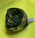Ball 7cm
